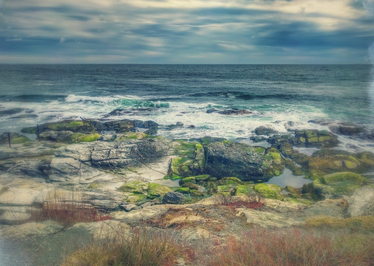 Rocky Coastline at low tide with tidal pools. White surf where the blue water meets the rocks. The sky is blue with white and grey clouds. There are bushes in the foreground